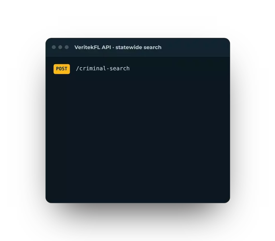 A VeritekFL API request returns standardized statewide criminal case results in seconds